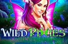 Play Wild Pixies slot at Pin Up