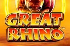 Play Great Rhino slot at Pin Up