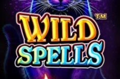 Play Wild Spells slot at Pin Up